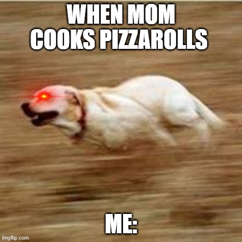 hmm yes | WHEN MOM COOKS PIZZAROLLS; ME: | image tagged in speedy doggo | made w/ Imgflip meme maker