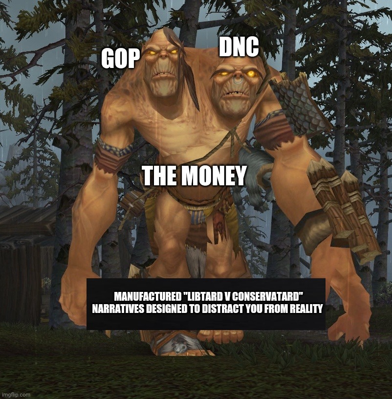 STOP BEING SLAVES!!! | DNC; GOP; THE MONEY; MANUFACTURED "LIBTARD V CONSERVATARD" NARRATIVES DESIGNED TO DISTRACT YOU FROM REALITY | image tagged in voting,politics | made w/ Imgflip meme maker