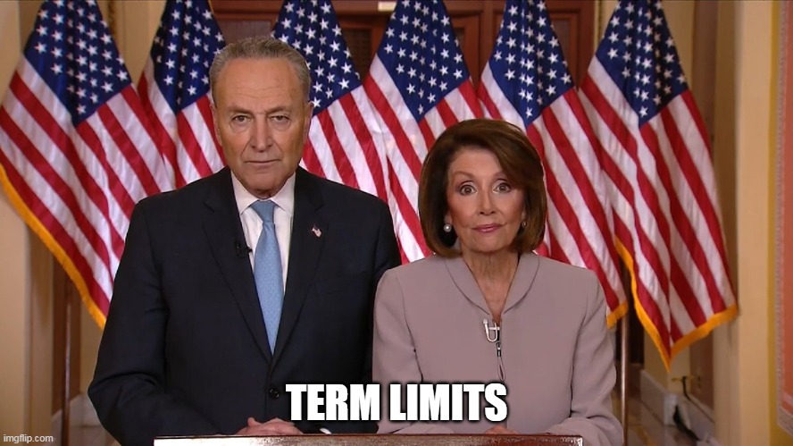 Chuck and Nancy | TERM LIMITS | image tagged in chuck and nancy | made w/ Imgflip meme maker