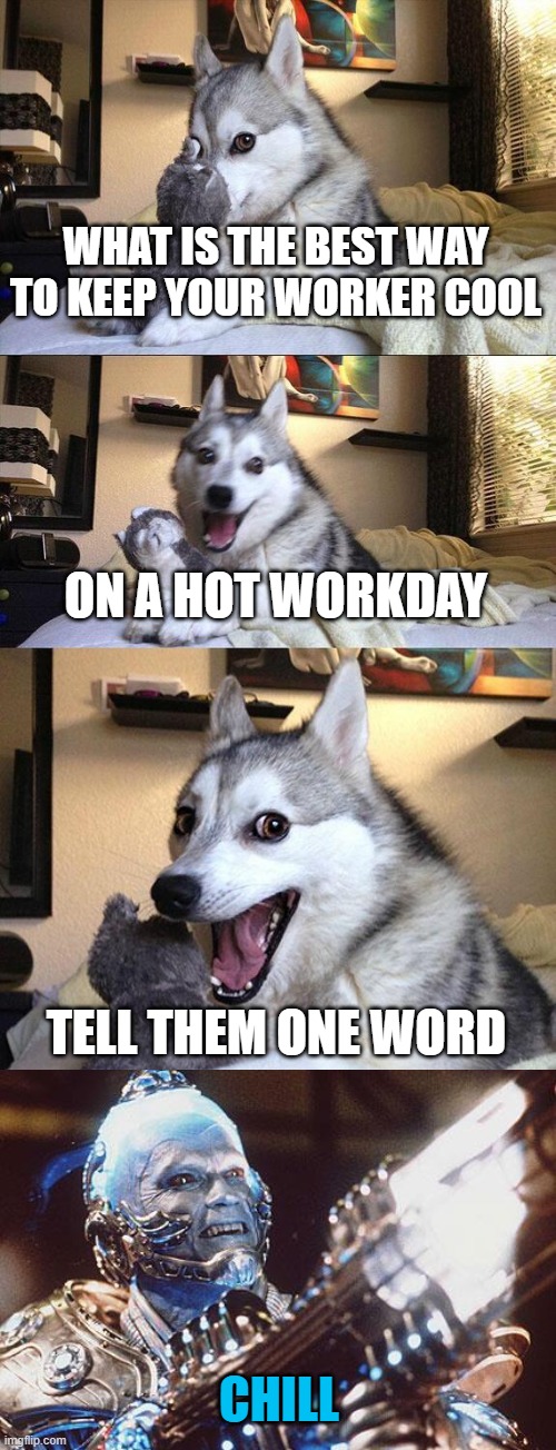 Bad Pun Dog | WHAT IS THE BEST WAY TO KEEP YOUR WORKER COOL; ON A HOT WORKDAY; TELL THEM ONE WORD; CHILL | image tagged in memes,bad pun dog,mr freeze | made w/ Imgflip meme maker