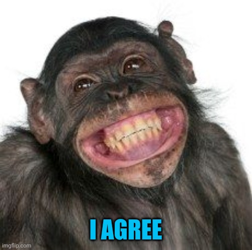 Grinning Chimp | I AGREE | image tagged in grinning chimp | made w/ Imgflip meme maker