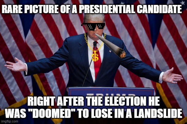 Anyone remember 2016? | RARE PICTURE OF A PRESIDENTIAL CANDIDATE; RIGHT AFTER THE ELECTION HE WAS "DOOMED" TO LOSE IN A LANDSLIDE | image tagged in donald trump,2016,election 2016,election 2020,2020,four more years | made w/ Imgflip meme maker