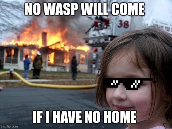 Disaster Girl | NO WASP WILL COME; IF I HAVE NO HOME | image tagged in memes,disaster girl | made w/ Imgflip meme maker