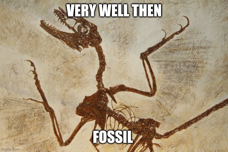 Very well then, fossil! | VERY WELL THEN; FOSSIL | image tagged in what n' fossilization,very well then fossil | made w/ Imgflip meme maker