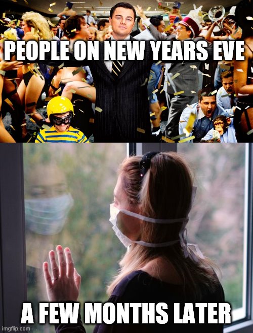 PEOPLE ON NEW YEARS EVE A FEW MONTHS LATER | image tagged in wolf party | made w/ Imgflip meme maker