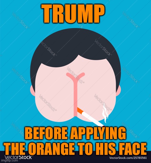 Have you ever wondered what Trump looks like under those layers of Orange? | TRUMP; BEFORE APPLYING THE ORANGE TO HIS FACE | image tagged in donald trump,orange,politics,joe biden,ass | made w/ Imgflip meme maker