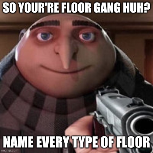 You better |  SO YOUR'RE FLOOR GANG HUH? NAME EVERY TYPE OF FLOOR | image tagged in gru | made w/ Imgflip meme maker