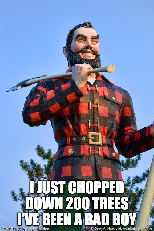 paul bunyan | I JUST CHOPPED DOWN 200 TREES I'VE BEEN A BAD BOY | image tagged in trees | made w/ Imgflip meme maker