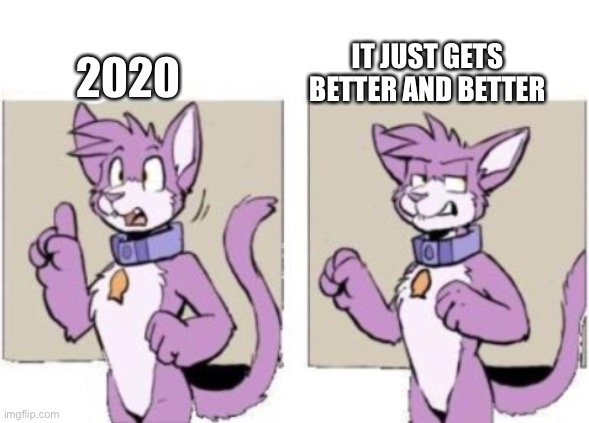 Furry hold on | 2020 IT JUST GETS BETTER AND BETTER | image tagged in furry hold on | made w/ Imgflip meme maker