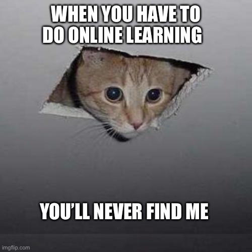 Ceiling Cat | WHEN YOU HAVE TO DO ONLINE LEARNING; YOU’LL NEVER FIND ME | image tagged in memes,ceiling cat | made w/ Imgflip meme maker