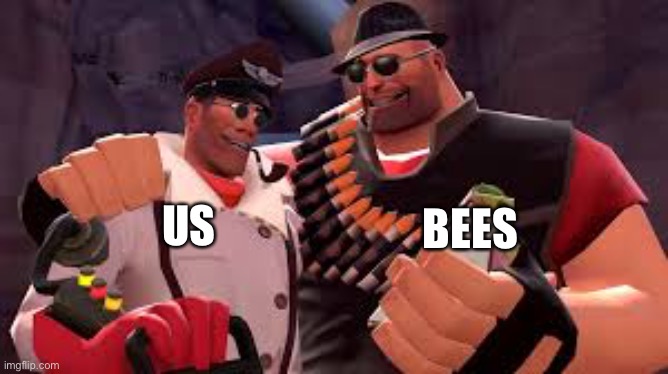 US BEES | image tagged in heavy and medic | made w/ Imgflip meme maker