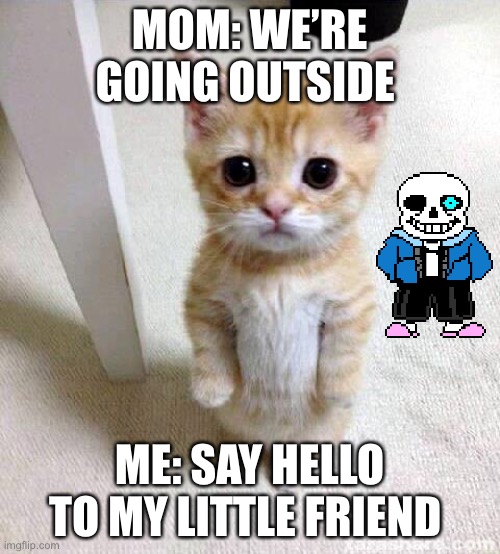 Cute Cat | MOM: WE’RE GOING OUTSIDE; ME: SAY HELLO TO MY LITTLE FRIEND | image tagged in memes,cute cat | made w/ Imgflip meme maker