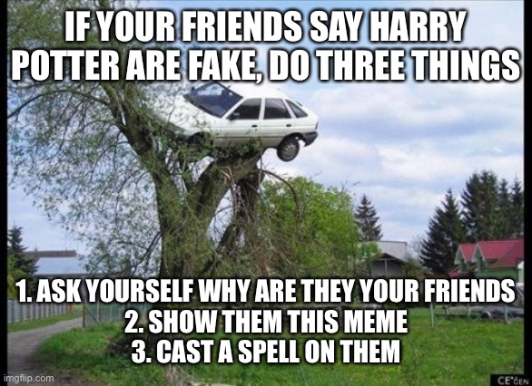 Secure Parking Meme | IF YOUR FRIENDS SAY HARRY POTTER ARE FAKE, DO THREE THINGS; 1. ASK YOURSELF WHY ARE THEY YOUR FRIENDS
2. SHOW THEM THIS MEME
3. CAST A SPELL ON THEM | image tagged in memes,secure parking | made w/ Imgflip meme maker
