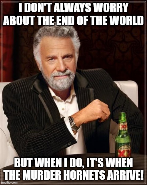 Feel the Sting | I DON'T ALWAYS WORRY ABOUT THE END OF THE WORLD; BUT WHEN I DO, IT'S WHEN THE MURDER HORNETS ARRIVE! | image tagged in memes,the most interesting man in the world | made w/ Imgflip meme maker