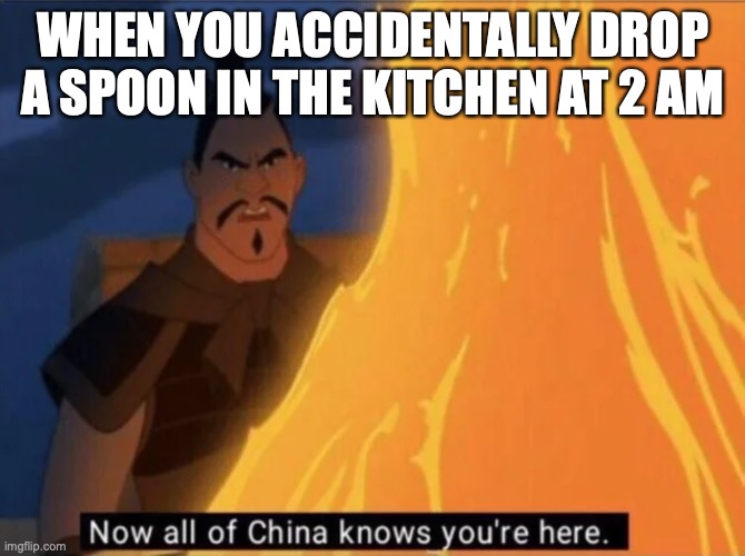 Now all of China knows you're here | WHEN YOU ACCIDENTALLY DROP A SPOON IN THE KITCHEN AT 2 AM | image tagged in now all of china knows you're here | made w/ Imgflip meme maker