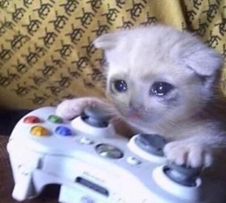 Sad Gamer Cat Blank Meme Template