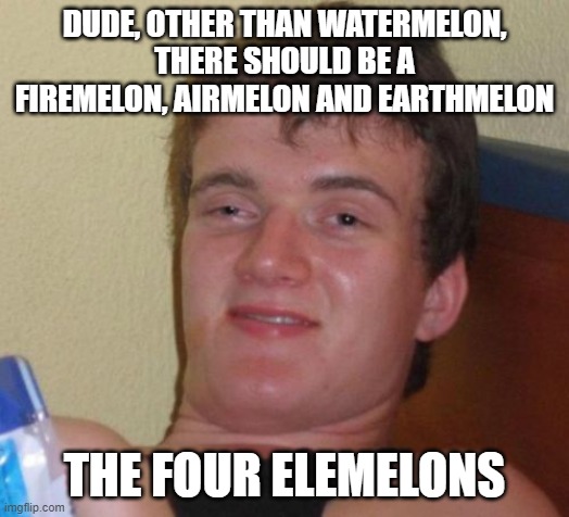 10 Guy | DUDE, OTHER THAN WATERMELON, THERE SHOULD BE A FIREMELON, AIRMELON AND EARTHMELON; THE FOUR ELEMELONS | image tagged in memes,10 guy | made w/ Imgflip meme maker