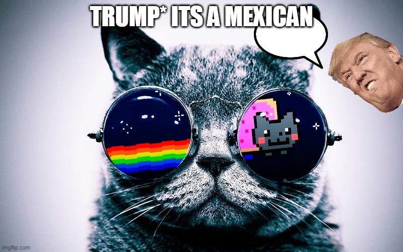 be like trump | TRUMP* ITS A MEXICAN | image tagged in steve harvey | made w/ Imgflip meme maker