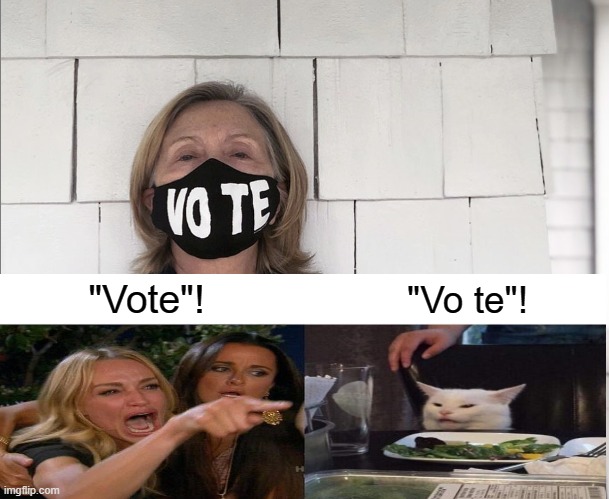Vote or Vo te? | "Vote"! "Vo te"! | image tagged in memes,hillary clinton,woman yelling at cat | made w/ Imgflip meme maker