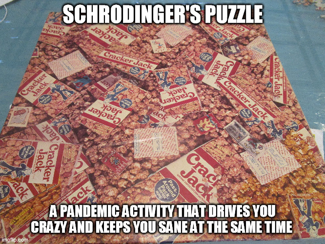 Schrodinger's Puzzle | SCHRODINGER'S PUZZLE; A PANDEMIC ACTIVITY THAT DRIVES YOU CRAZY AND KEEPS YOU SANE AT THE SAME TIME | image tagged in puzzle covid19 coronavirus pandemic activity socialisolation | made w/ Imgflip meme maker