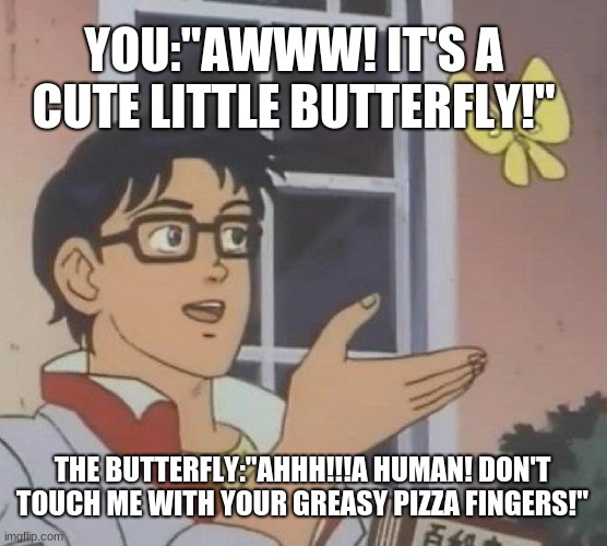 Is This A Pigeon Meme | YOU:"AWWW! IT'S A CUTE LITTLE BUTTERFLY!"; THE BUTTERFLY:"AHHH!!!A HUMAN! DON'T TOUCH ME WITH YOUR GREASY PIZZA FINGERS!" | image tagged in memes,is this a pigeon | made w/ Imgflip meme maker