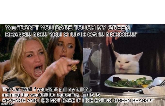Woman Yelling At Cat | You:"DON"T YOU DARE TOUCH MY GREEN BEANS!!! NO!!! YOU STUPID CAT!!! NOOOO!!!!"; The Cat:"Well if you didn't pull my tail this morning this wouldn't be happening...THIS IS REVENGE AND I DO NOT CARE IF I DIE EATING GREEN BEANS!!!" | image tagged in memes,woman yelling at cat | made w/ Imgflip meme maker
