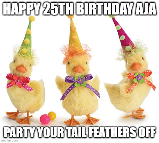 Party ducks | HAPPY 25TH BIRTHDAY AJA; PARTY YOUR TAIL FEATHERS OFF | image tagged in happy birthday | made w/ Imgflip meme maker