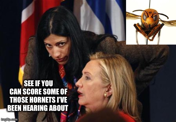 When you’ve played the Suicide Card too many times and have to become more creative | SEE IF YOU CAN SCORE SOME OF THOSE HORNETS I’VE BEEN HEARING ABOUT | image tagged in hillary clinton huma abedin saudi yemen libya iran bomb shia pup,murder hornet | made w/ Imgflip meme maker