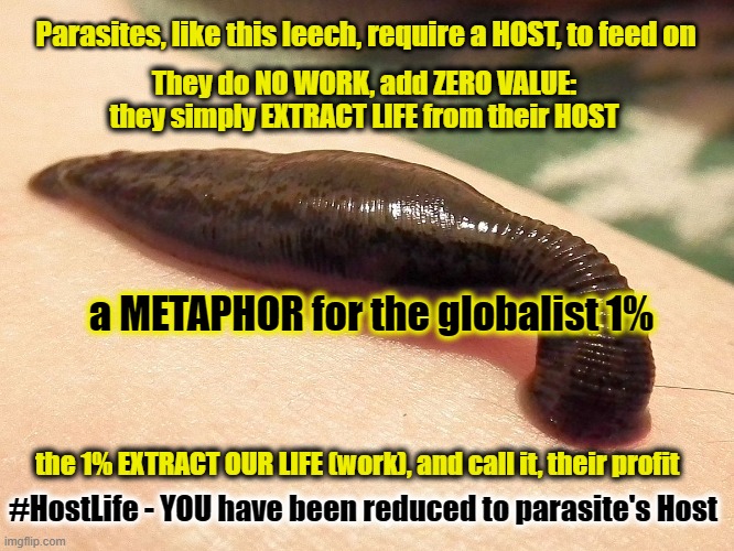 Hosts and Leeches | Parasites, like this leech, require a HOST, to feed on; They do NO WORK, add ZERO VALUE: they simply EXTRACT LIFE from their HOST; a METAPHOR for the globalist 1%; the 1% EXTRACT OUR LIFE (work), and call it, their profit; #HostLife - YOU have been reduced to parasite's Host | image tagged in parasite,hostlife,extraction,leech | made w/ Imgflip meme maker