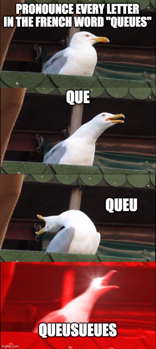 Inhaling Seagull | PRONOUNCE EVERY LETTER IN THE FRENCH WORD "QUEUES"; QUE; QUEU; QUEUSUEUES | image tagged in memes,inhaling seagull | made w/ Imgflip meme maker