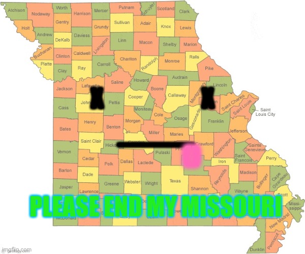 End his Missouri! | X                      X; ———; (); PLEASE END MY MISSOURI | image tagged in missouri | made w/ Imgflip meme maker