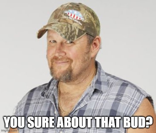 Larry The Cable Guy Meme | YOU SURE ABOUT THAT BUD? | image tagged in memes,larry the cable guy | made w/ Imgflip meme maker