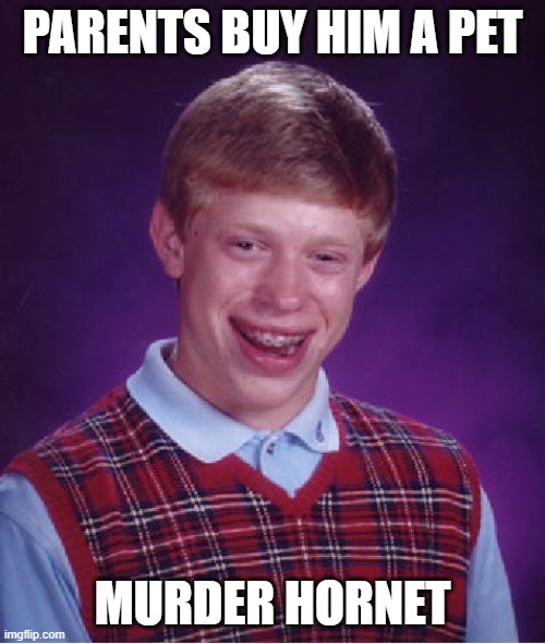 Bad Luck Brian | PARENTS BUY HIM A PET; MURDER HORNET | image tagged in memes,bad luck brian | made w/ Imgflip meme maker