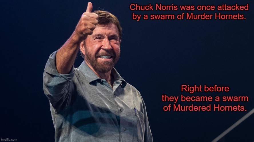 Don't mess with Chuck! | Chuck Norris was once attacked by a swarm of Murder Hornets. Right before they became a swarm of Murdered Hornets. | image tagged in memes,chuck norris,murder hornet,murder hornets | made w/ Imgflip meme maker