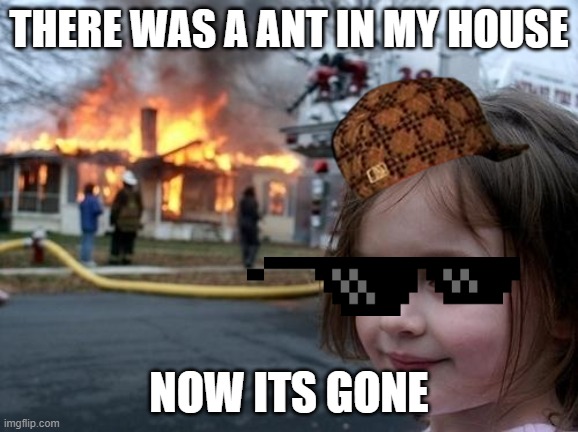 Evil Girl Fire | THERE WAS A ANT IN MY HOUSE; NOW ITS GONE | image tagged in evil girl fire | made w/ Imgflip meme maker