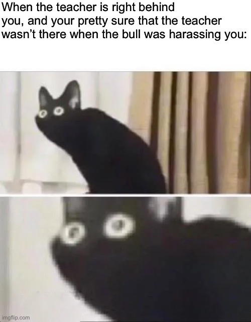 Oh No Black Cat | When the teacher is right behind you, and your pretty sure that the teacher wasn’t there when the bull was harassing you: | image tagged in oh no black cat | made w/ Imgflip meme maker