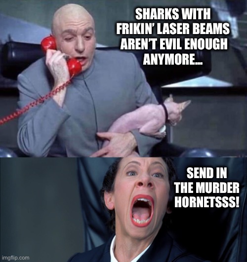 Murder Hornets are just what the Doctor ordered! | SHARKS WITH
FRIKIN’ LASER BEAMS
 AREN’T EVIL ENOUGH
 ANYMORE... SEND IN THE MURDER HORNETSSS! | image tagged in austin powers - frau yelling,murder hornets,dr evil | made w/ Imgflip meme maker