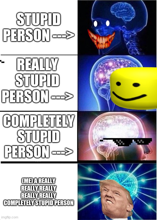 Expanding Brain | STUPID PERSON --->; REALLY STUPID PERSON --->; COMPLETELY STUPID PERSON --->; (ME) A REALLY REALLY REALLY REALLY REALLY COMPLETELY STUPID PERSON | image tagged in memes,expanding brain | made w/ Imgflip meme maker