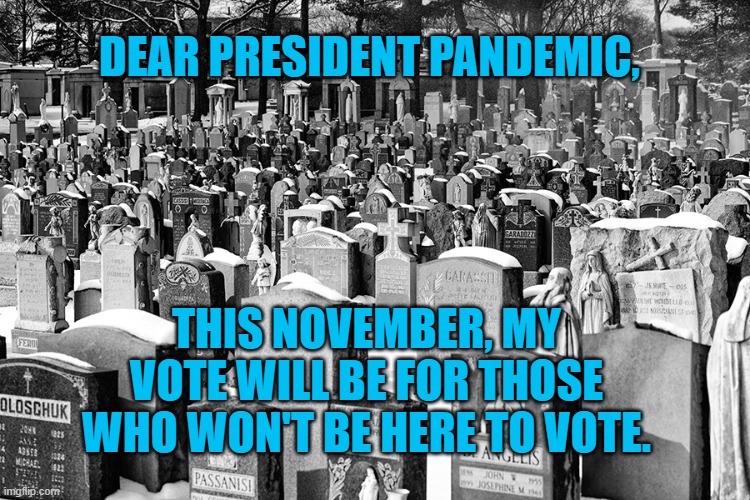 President Pandemic's Body Count | DEAR PRESIDENT PANDEMIC, THIS NOVEMBER, MY VOTE WILL BE FOR THOSE WHO WON'T BE HERE TO VOTE. | image tagged in politics | made w/ Imgflip meme maker