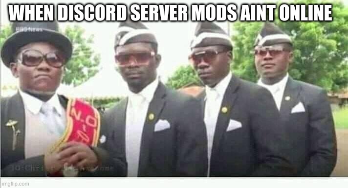 when discord server mods are not online | WHEN DISCORD SERVER MODS AINT ONLINE | image tagged in coffin dance | made w/ Imgflip meme maker