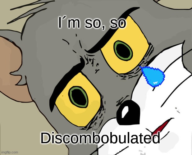Me 99.9% of the time | I´m so, so; Discombobulated | image tagged in memes,unsettled tom | made w/ Imgflip meme maker