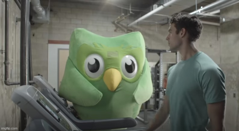 Dulingo Watching | image tagged in dulingo watching | made w/ Imgflip meme maker