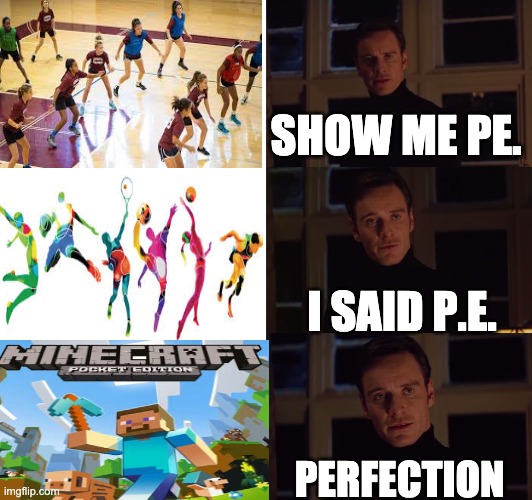 perfection | SHOW ME PE. I SAID P.E. PERFECTION | image tagged in perfection,minecraft,pe | made w/ Imgflip meme maker