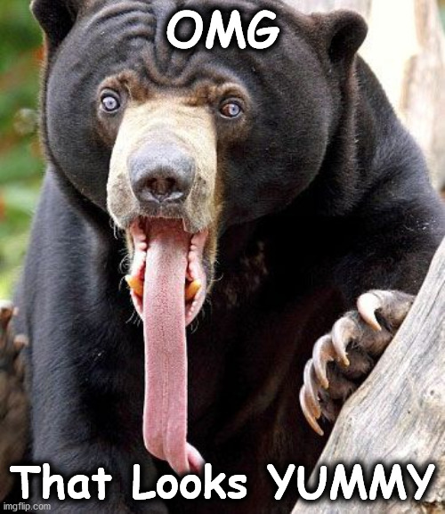 yummy | OMG; That Looks YUMMY | image tagged in yummy | made w/ Imgflip meme maker