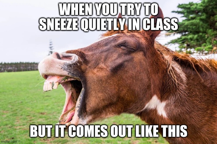 sneezing in class | WHEN YOU TRY TO SNEEZE QUIETLY IN CLASS; BUT IT COMES OUT LIKE THIS | image tagged in horse,sneeze,class | made w/ Imgflip meme maker