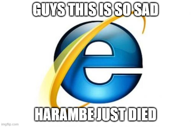 rip | GUYS THIS IS SO SAD; HARAMBE JUST DIED | image tagged in memes,internet explorer | made w/ Imgflip meme maker