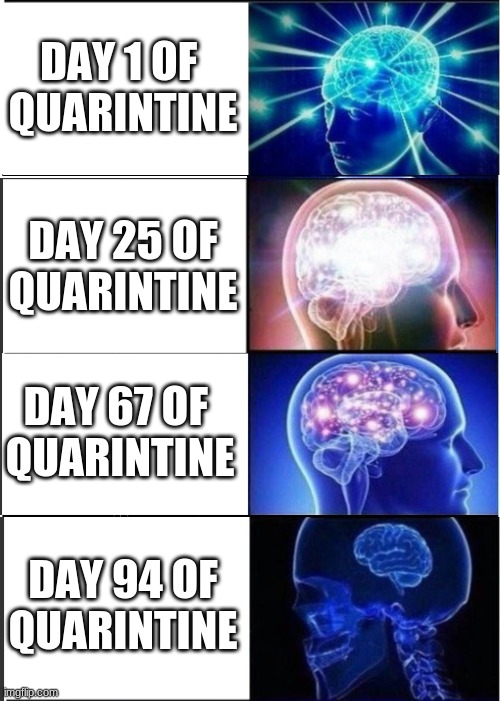 De-expanding brain | DAY 1 OF 
QUARINTINE; DAY 25 OF
QUARINTINE; DAY 67 OF 
QUARINTINE; DAY 94 OF
QUARINTINE | image tagged in memes,expanding brain | made w/ Imgflip meme maker