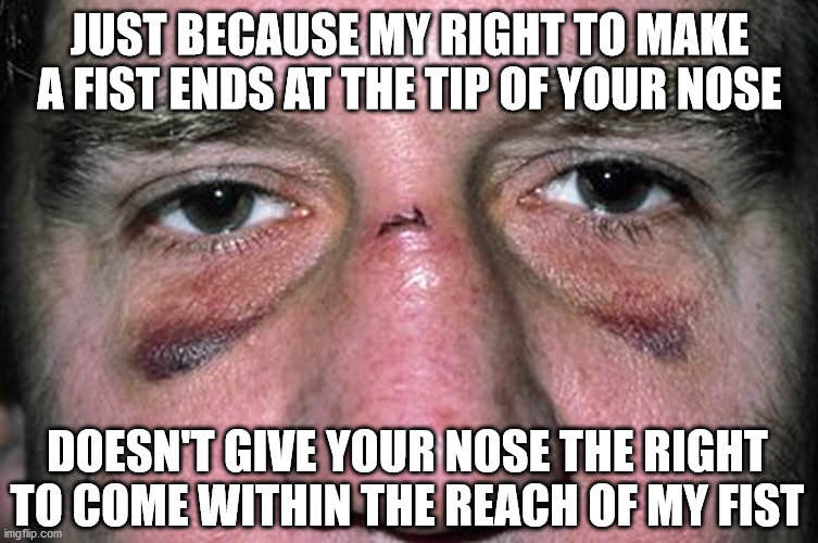 The Nose Knows | JUST BECAUSE MY RIGHT TO MAKE A FIST ENDS AT THE TIP OF YOUR NOSE; DOESN'T GIVE YOUR NOSE THE RIGHT TO COME WITHIN THE REACH OF MY FIST | image tagged in nose | made w/ Imgflip meme maker
