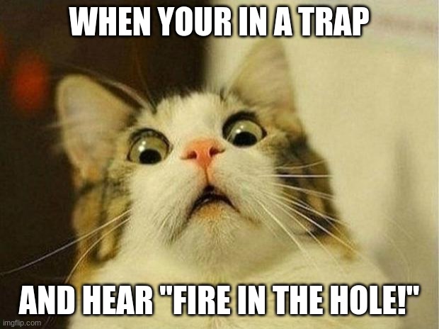 I call it the tire trap | WHEN YOUR IN A TRAP; AND HEAR "FIRE IN THE HOLE!" | image tagged in memes,scared cat | made w/ Imgflip meme maker