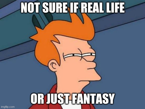 Futurama Fry | NOT SURE IF REAL LIFE; OR JUST FANTASY | image tagged in memes,futurama fry | made w/ Imgflip meme maker